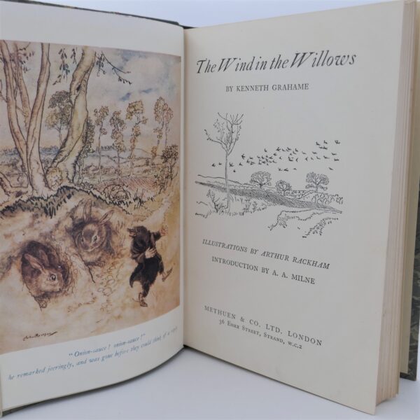 The Wind in the Willows. Illustrated by Arthur Rackham (1952) - Ulysses ...