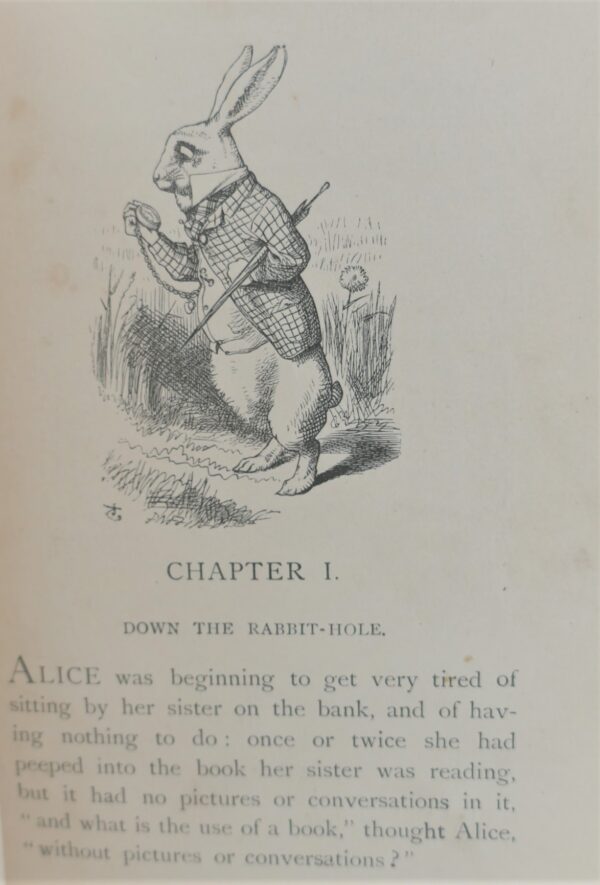 Alice's Adventures in Wonderland. Illustrated by John Tenniel (1907 ...