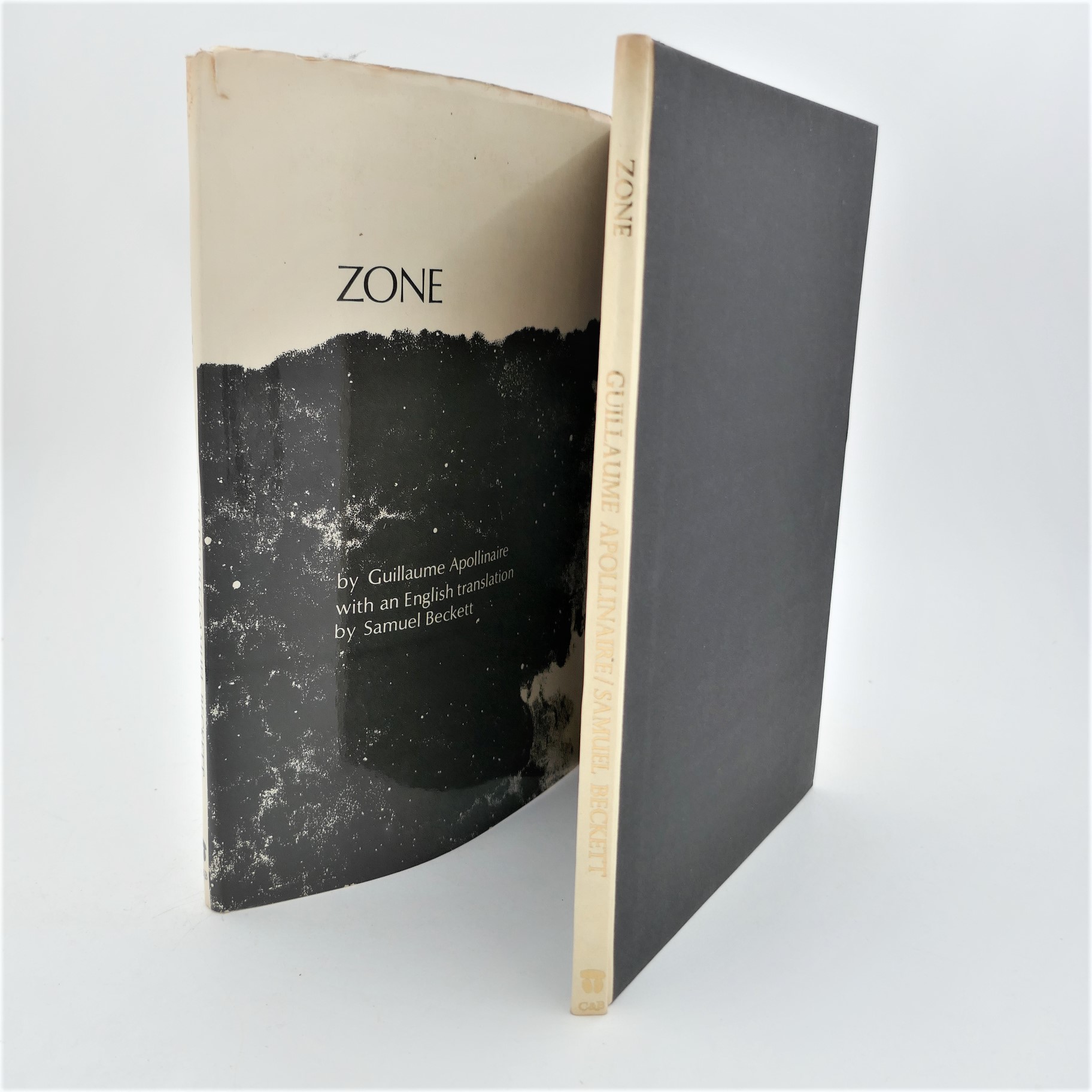 presentation de zone apollinaire